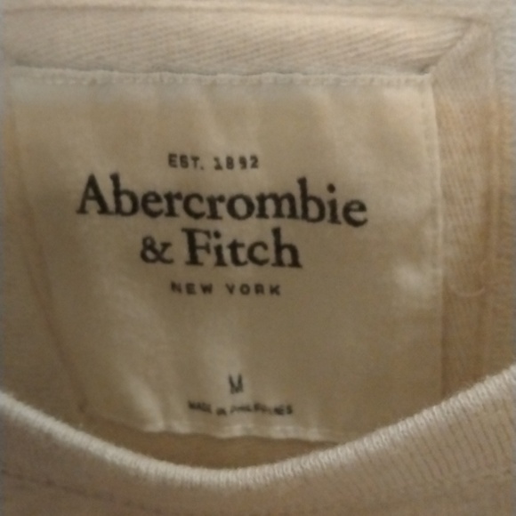 Abercrombie & Fitch Oatmeal color embellished sweatshirt, size medium - Picture 4 of 8
